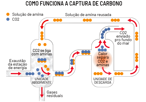 Gráfico mostrando como funciona a captura de carbono mencionada pelos arquitetos do net zero.