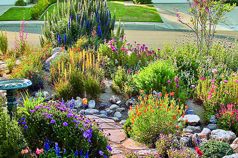 Imagem do jardim residencial cheio de plantas nativas e paisagismo para ilustrar o projeto de lei de uma cidade americana que quer remunerar quem trocar grama por plantas nativas