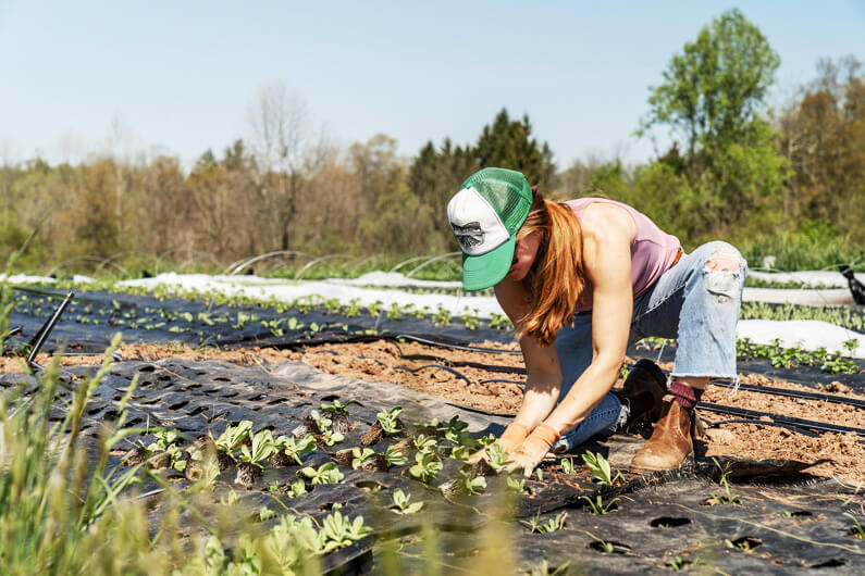 Foto de uma mulher agachada ao ar livre no cultivo agrícola para ilustrar a agricultura regenerativa na visão de três líderes globais do setor.