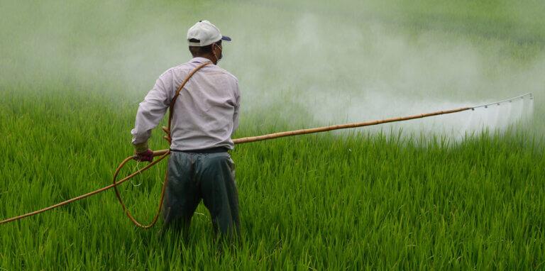 Pesticidas adoecem insetos em doses não letais – especialmente em climas quentes