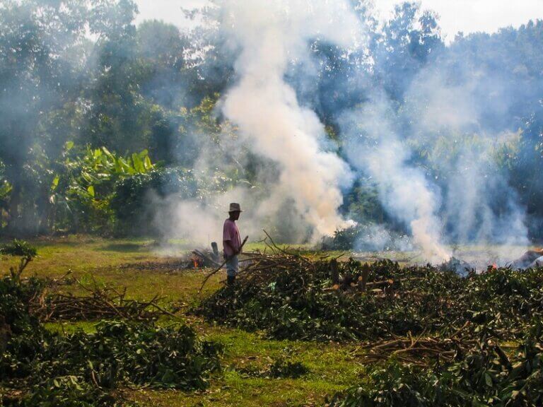 Imagem de um homem no meio de uma floresta com focos de incêndio ilustra o post cujo título diz que o desmatamento na Amazônia torna a floresta ainda mais seca.