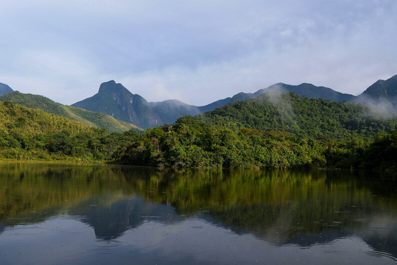 Imagem da Reserva Ecológica de Guapiaçu ilustra o post cujo título diz que a perda da biodiversidade faz mosquitos buscarem sangue humano.