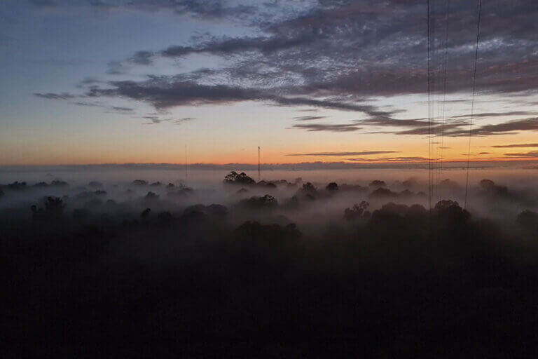 Imagem de um nevoeiro parcialmente encobrindo a floresta amazônica ao entardecer ilustra o post cujo título diz que o nevoeiro da Amazônia transporta microrganismos que podem regenerar a floresta.