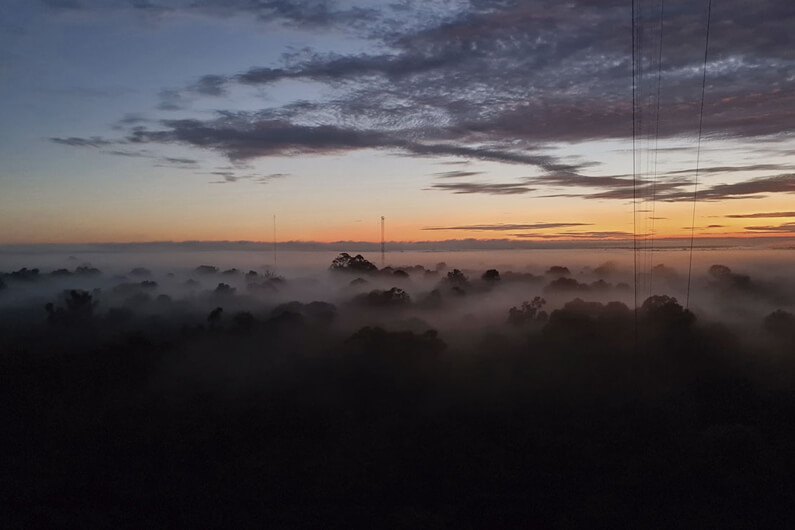 Imagem de um nevoeiro parcialmente encobrindo a floresta amazônica ao entardecer ilustra o post cujo título diz que o nevoeiro da Amazônia transporta microrganismos que podem regenerar a floresta.