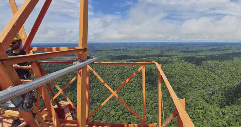 Imagem de uma torre no meio da floresta amazônica ilustra o post cujo título diz que o nevoeiro da Amazônia transporta microrganismos que podem regenerar a floresta.
