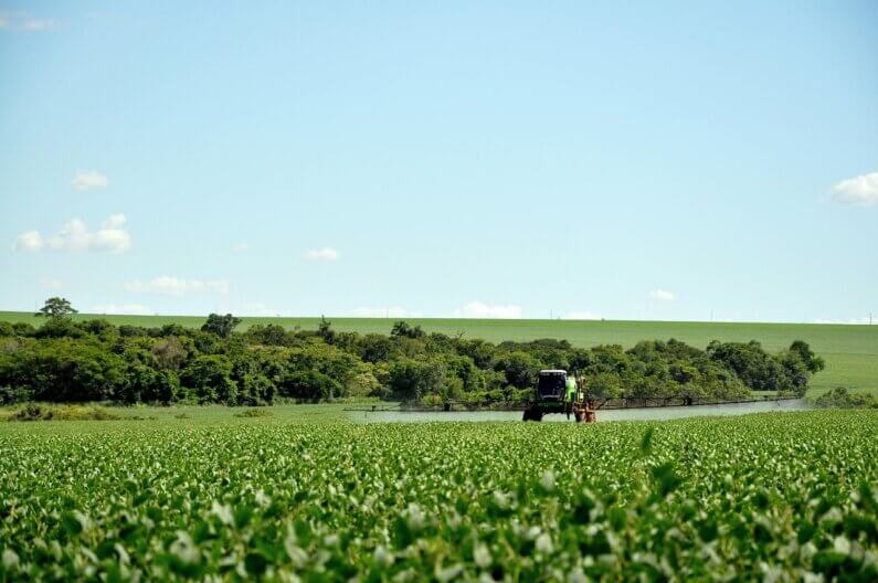 Imagem de uma plantação de soja sob um céu azulado ilustra o post cujo título diz que a Acelen e Bunge vão produzir combustível renovável na Bahia.