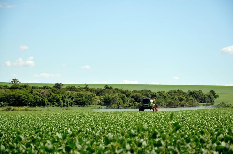 Imagem de uma plantação de soja sob um céu azulado ilustra o post cujo título diz que a Acelen e Bunge vão produzir combustível renovável na Bahia.
