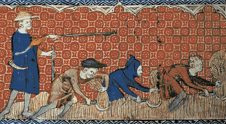 Ilustração de trabalhadores colhendo trigo na Idade Média ilustra o post sobre como a seca atual se compara com a do período quente medieval.