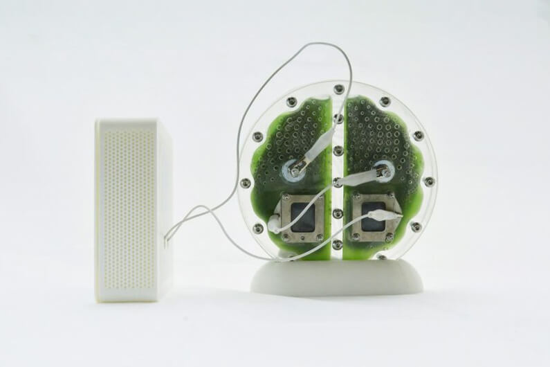 Imagem de rádio-relógio sendo alimentado pela eletricidade de um protótipo de bateria de alga para ilustrar o post sobre como as biocélulas de algas podem substituir as baterias de aparelhos eletrônicos.