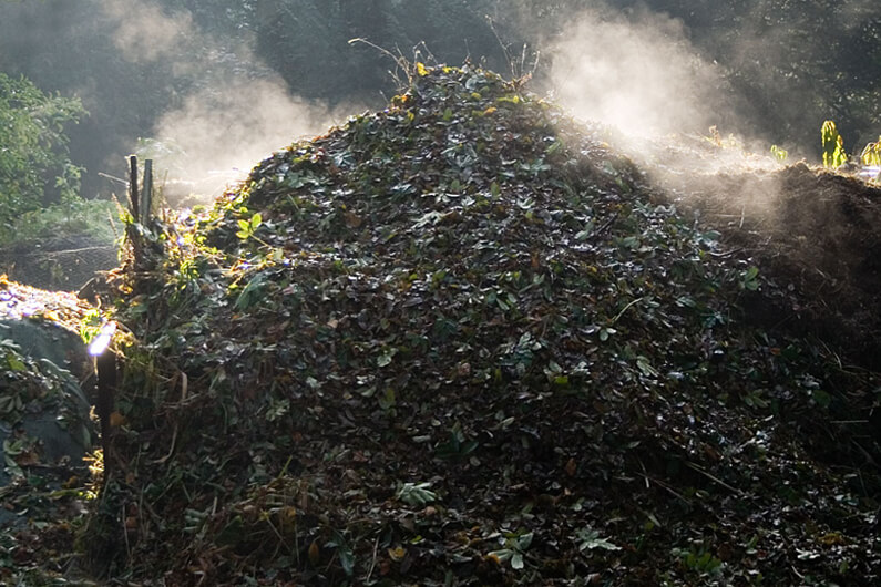 Imagem de um amontoado de folhas no solo dentro de uma área verde ilustra o post com o título: Compostagem quente: Qual a mágica por trás dela?
