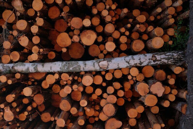 Imagem de todas de madeira acumuladas umas sobre as outras ilustra o post cujo título diz que o resíduo da produção de papel pode tornar mais resistentes os materiais automotivos.