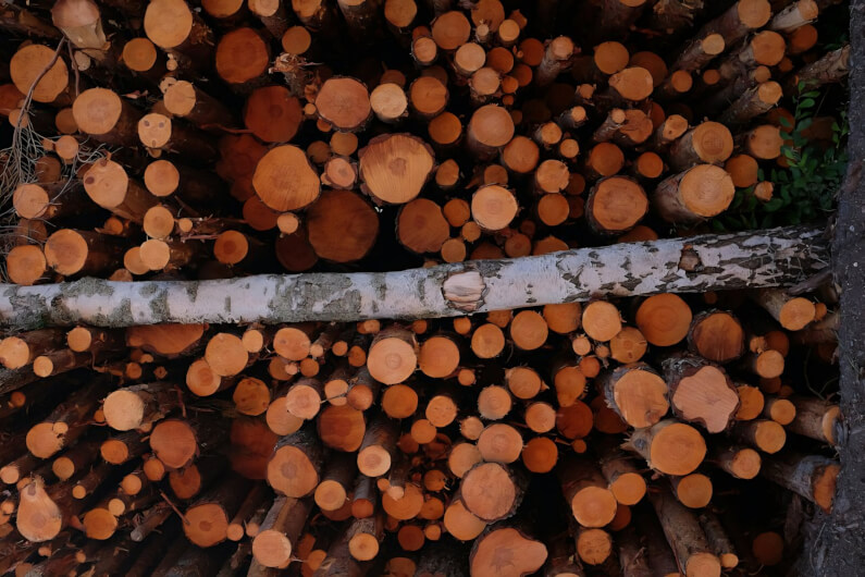 Imagem de todas de madeira acumuladas umas sobre as outras ilustra o post cujo título diz que o resíduo da produção de papel pode tornar mais resistentes os materiais automotivos.